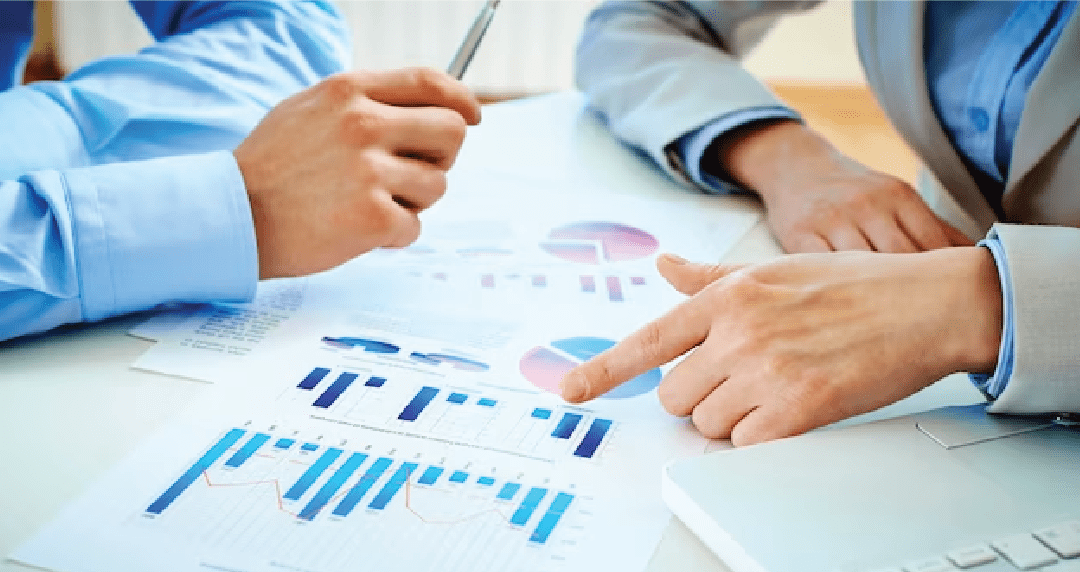 Portfolio Section - analytics and reports projects